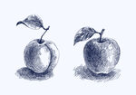 素描苹果图