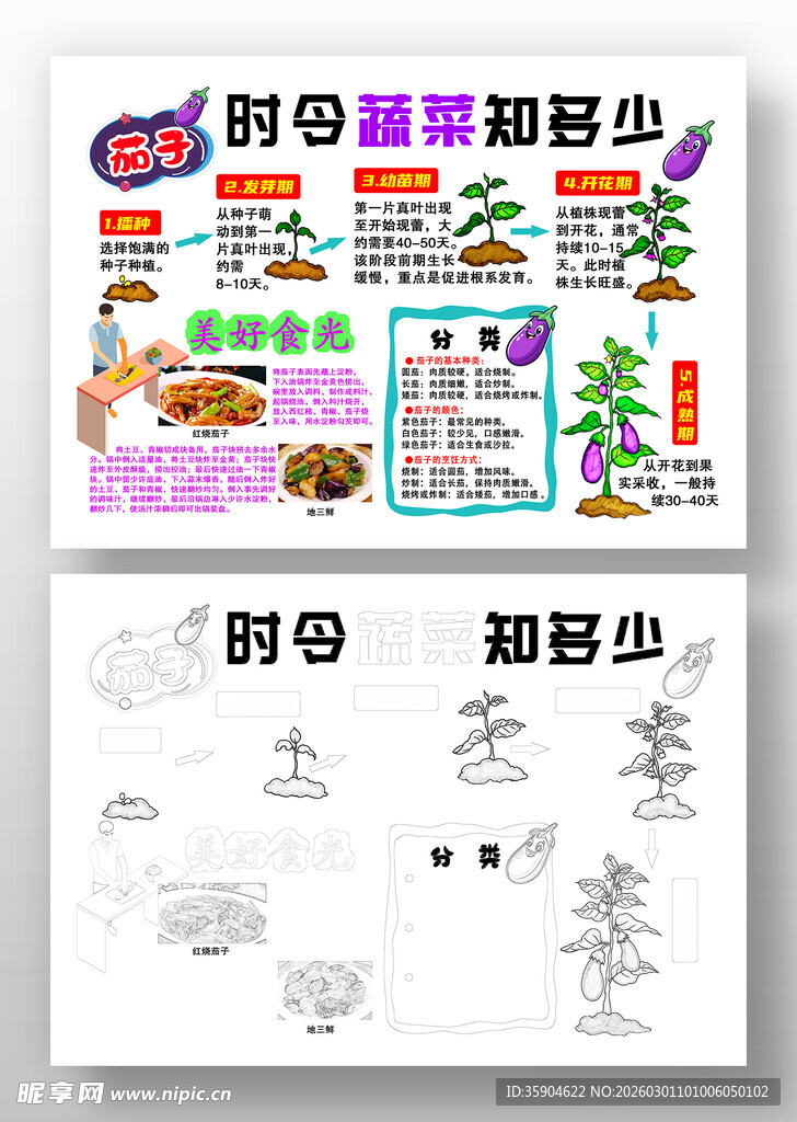 蔬菜主题手抄报模板