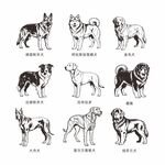 多种形态各异的狗狗形象