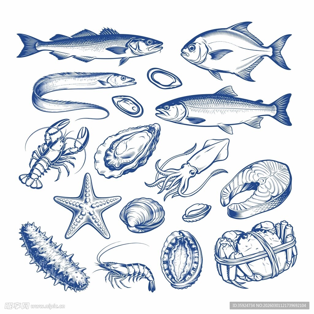 海洋生物手绘图案集合