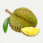 榴莲素材