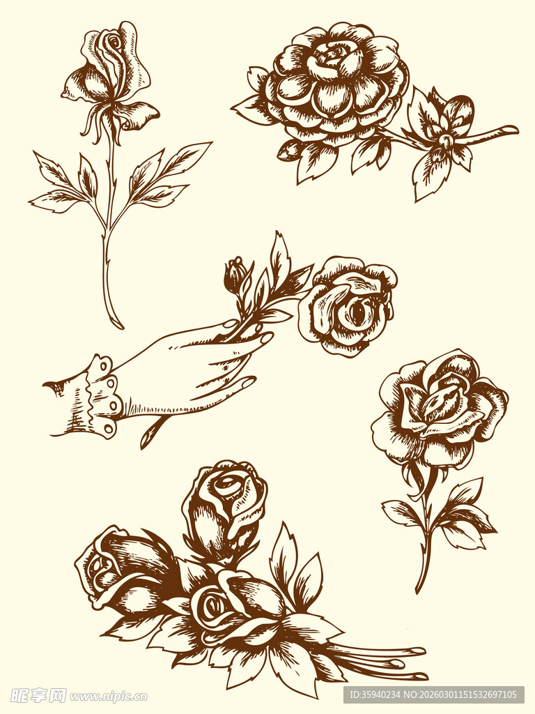 手绘玫瑰花图案