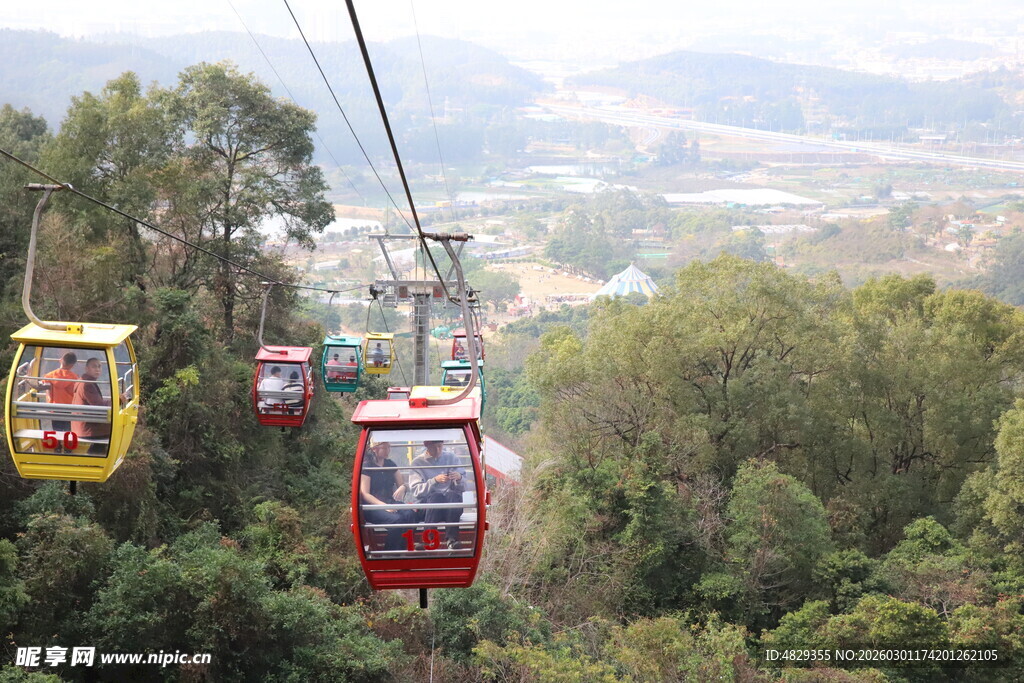 山间缆车穿梭于葱郁树林