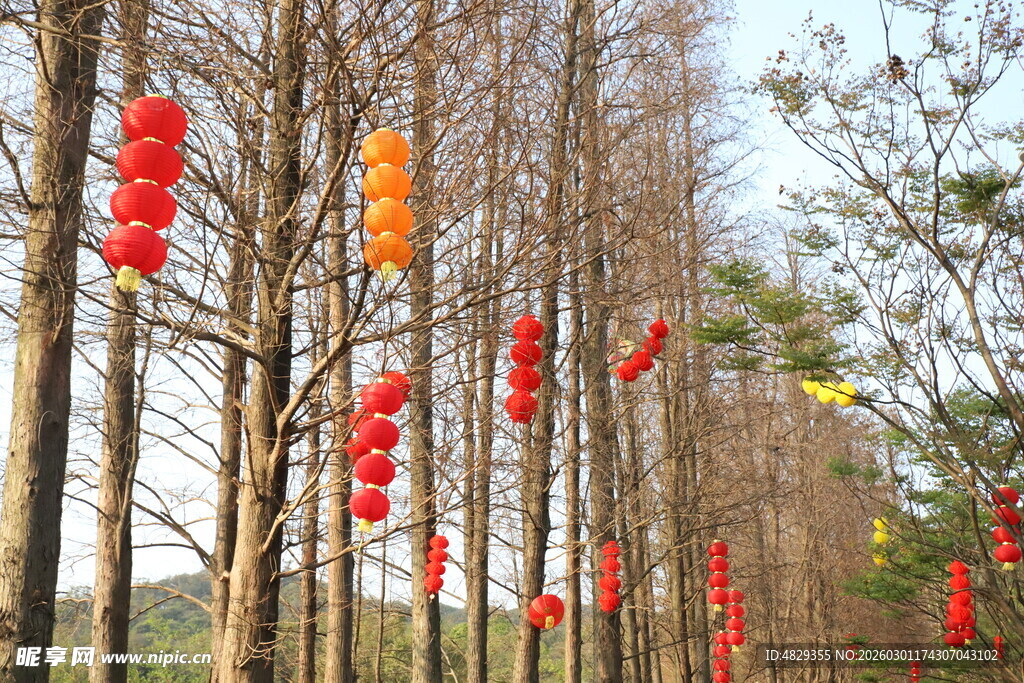 林间挂饰喜庆氛围浓