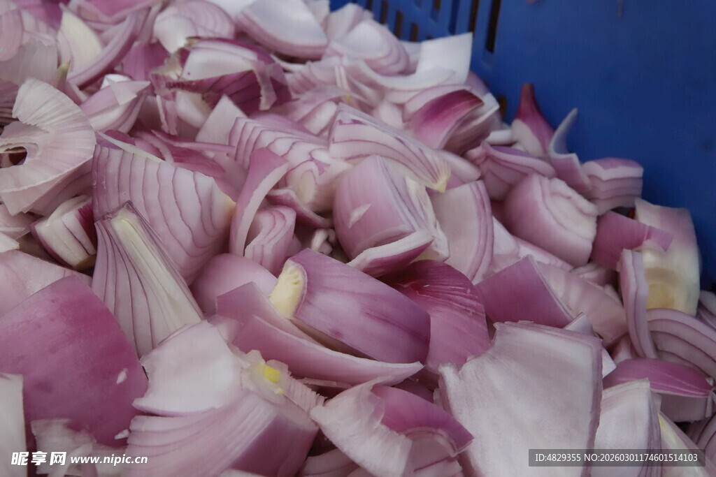 新鲜洋葱皮堆