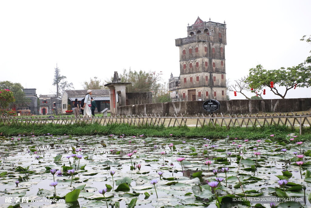 开平碉楼荷塘边的古老建筑景观