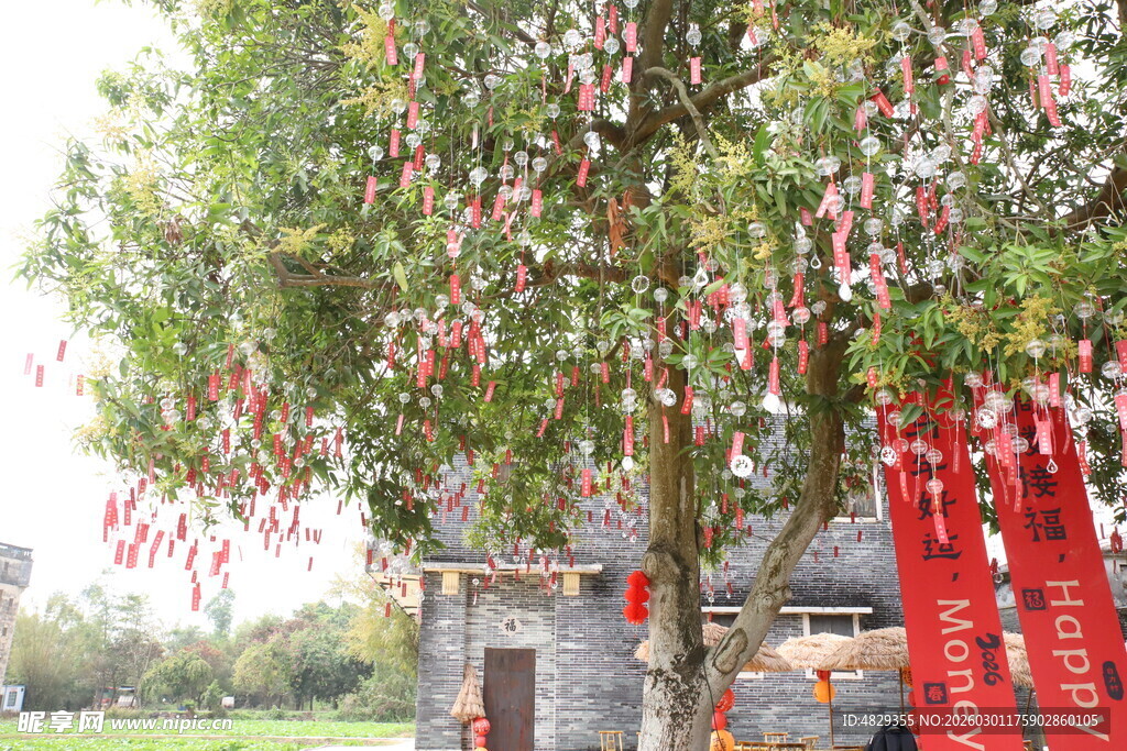 祈福树挂满祈愿牌