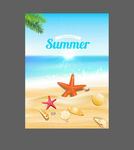 夏日海滩海星贝壳插画