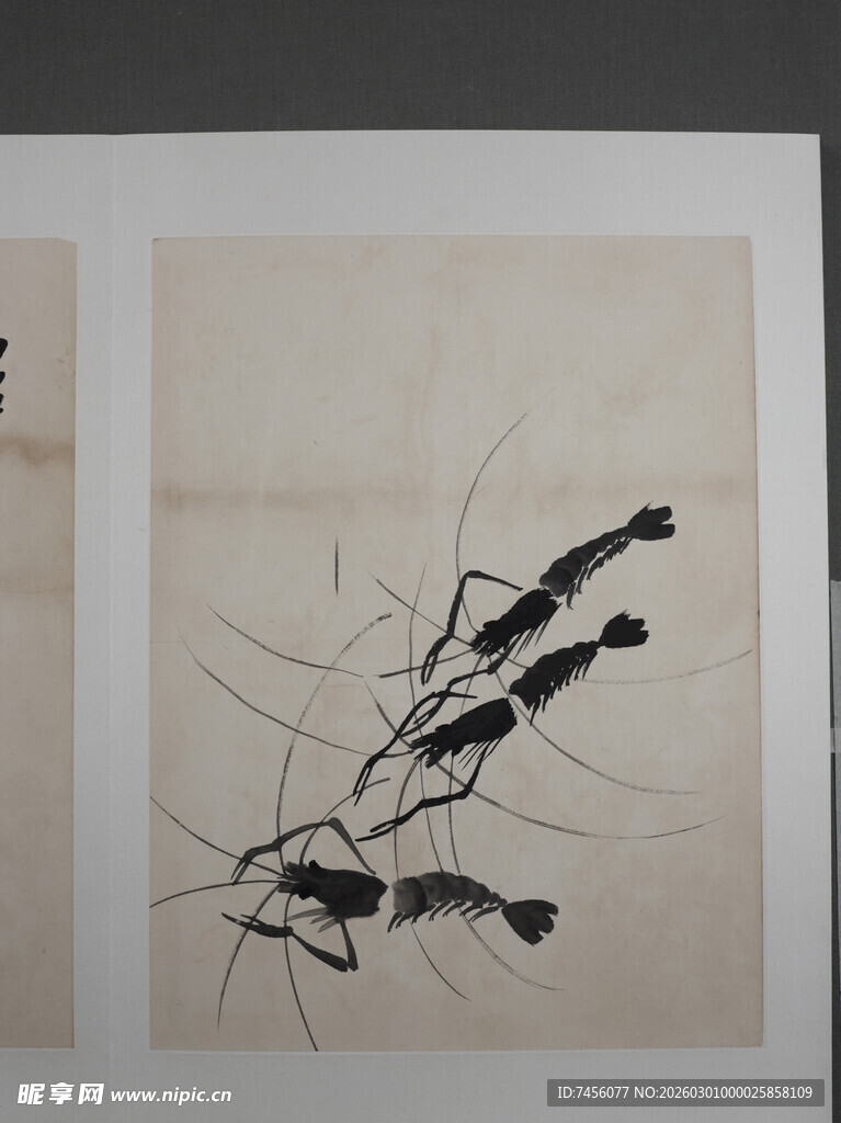 齐白石水墨虾画