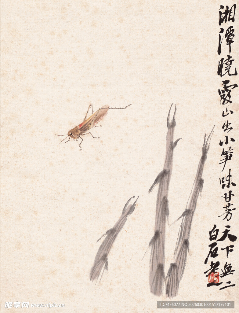 齐白石水墨蜻蜓图