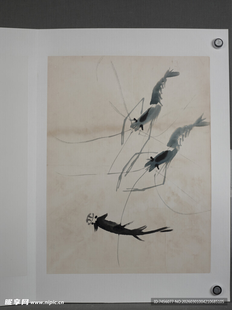 齐白石水墨虾趣图