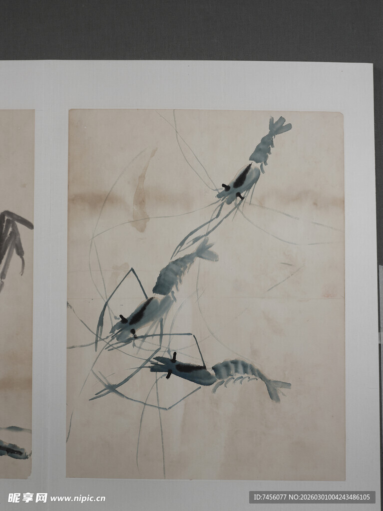 齐白石水墨虾趣图