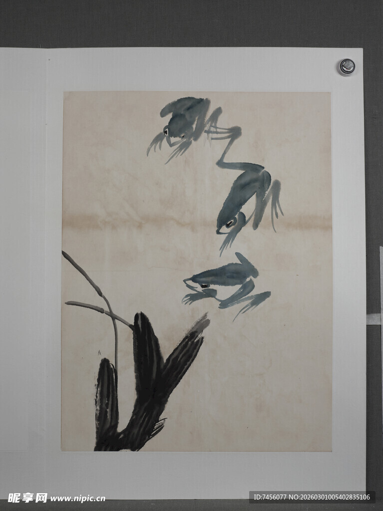 齐白石水墨青蛙图