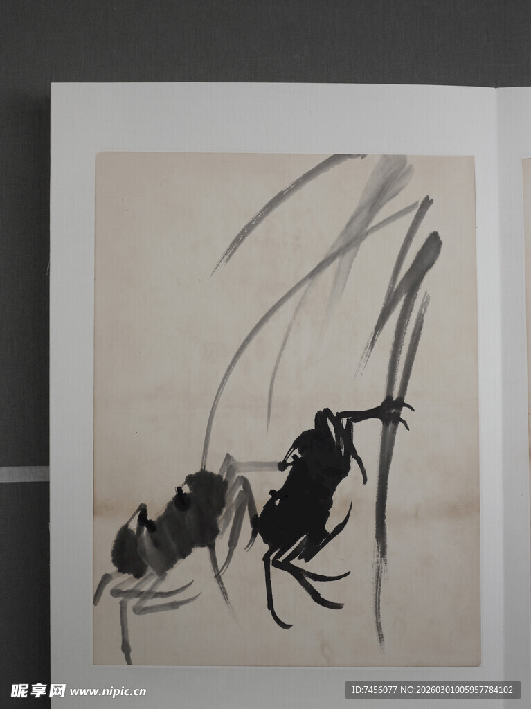 齐白石水墨虾趣图