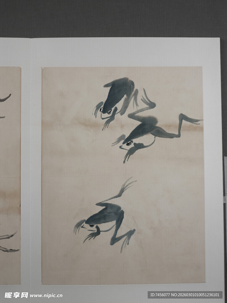 齐白石水墨青蛙画作