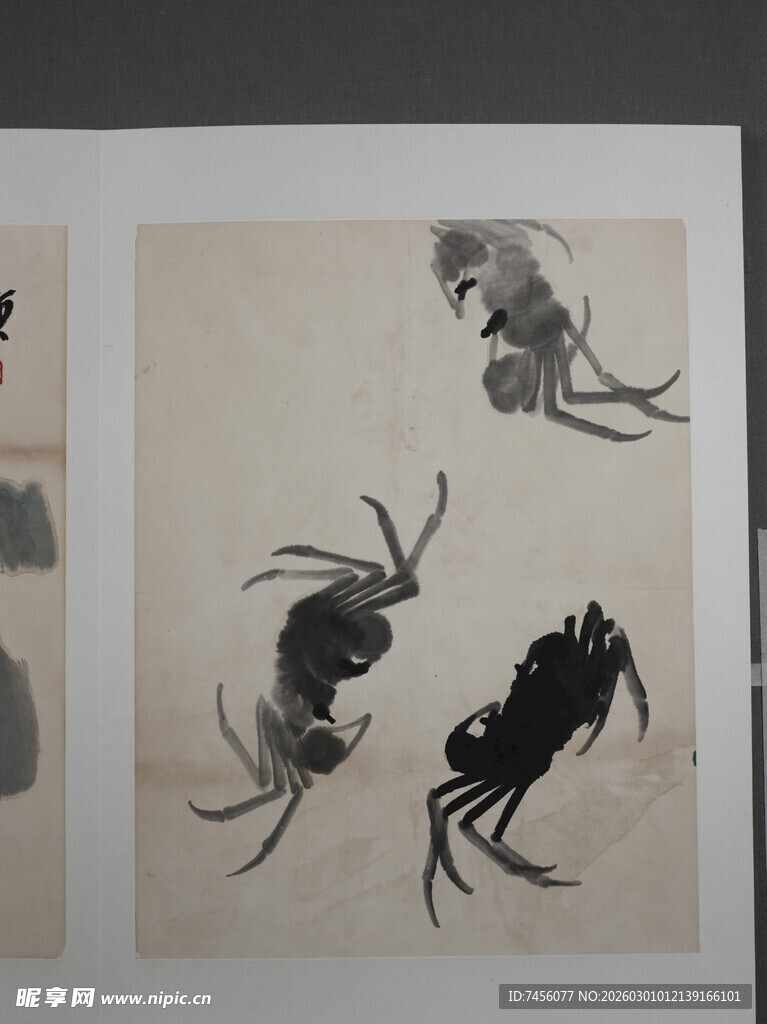 齐白石水墨虾画艺术作品展示
