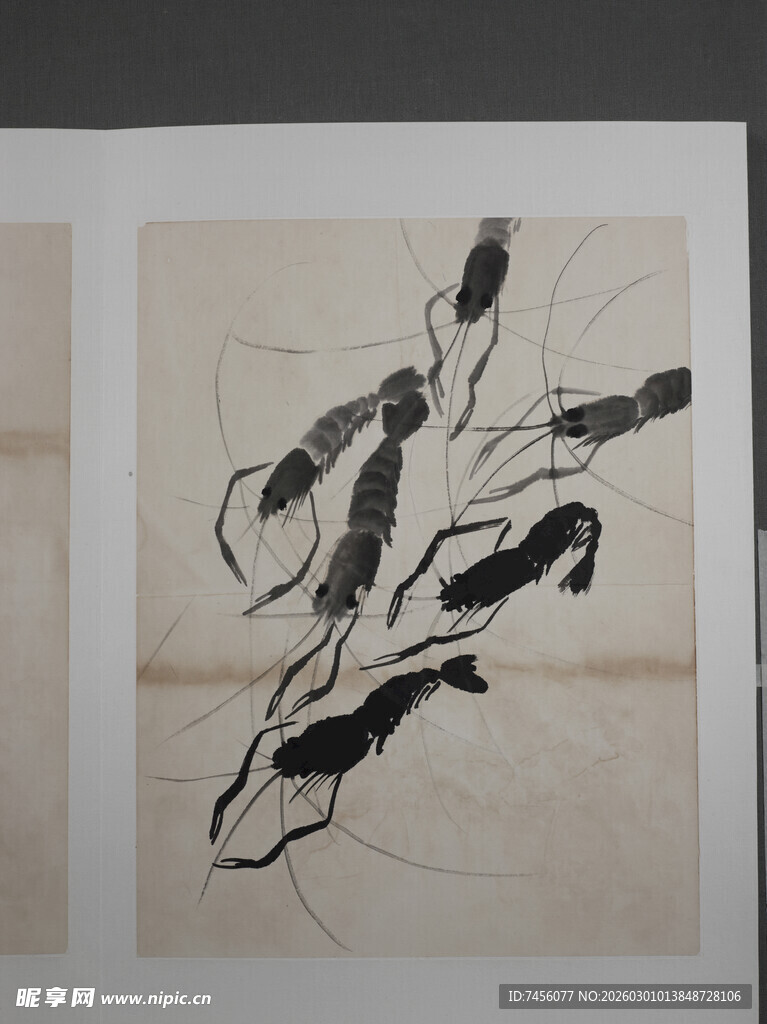 齐白石水墨虾画艺术作品