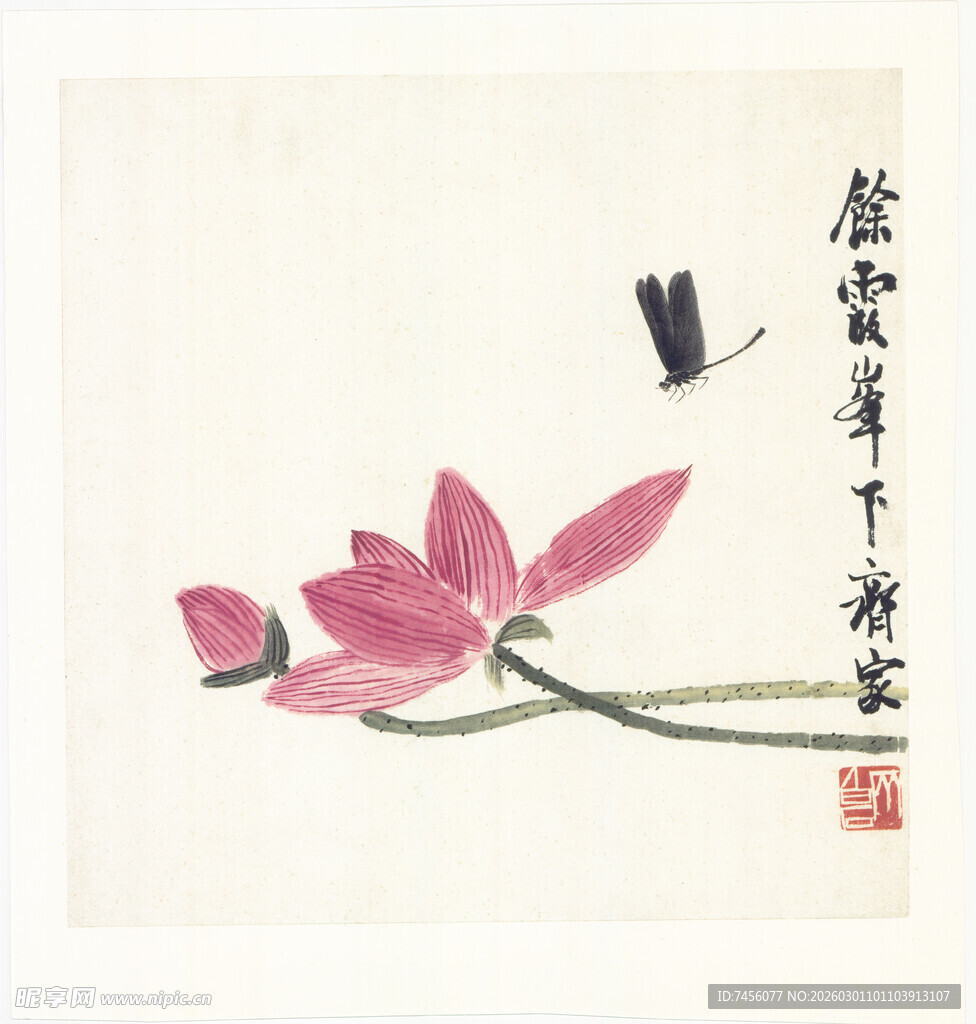 齐白石水墨荷花蜻蜓图