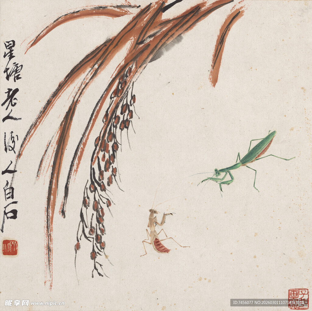 齐白石水墨稻穗间的灵动蚂蚱