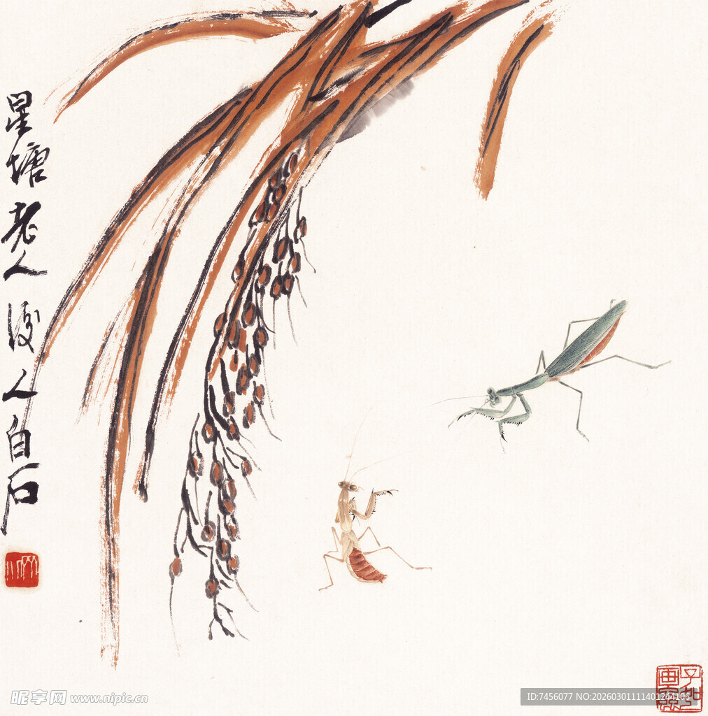 齐白石水墨稻穗间的虫趣