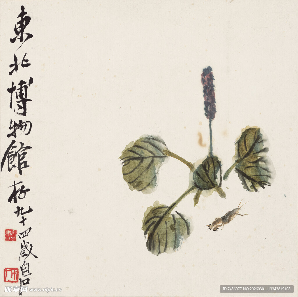 齐白石古画中的植物与昆虫