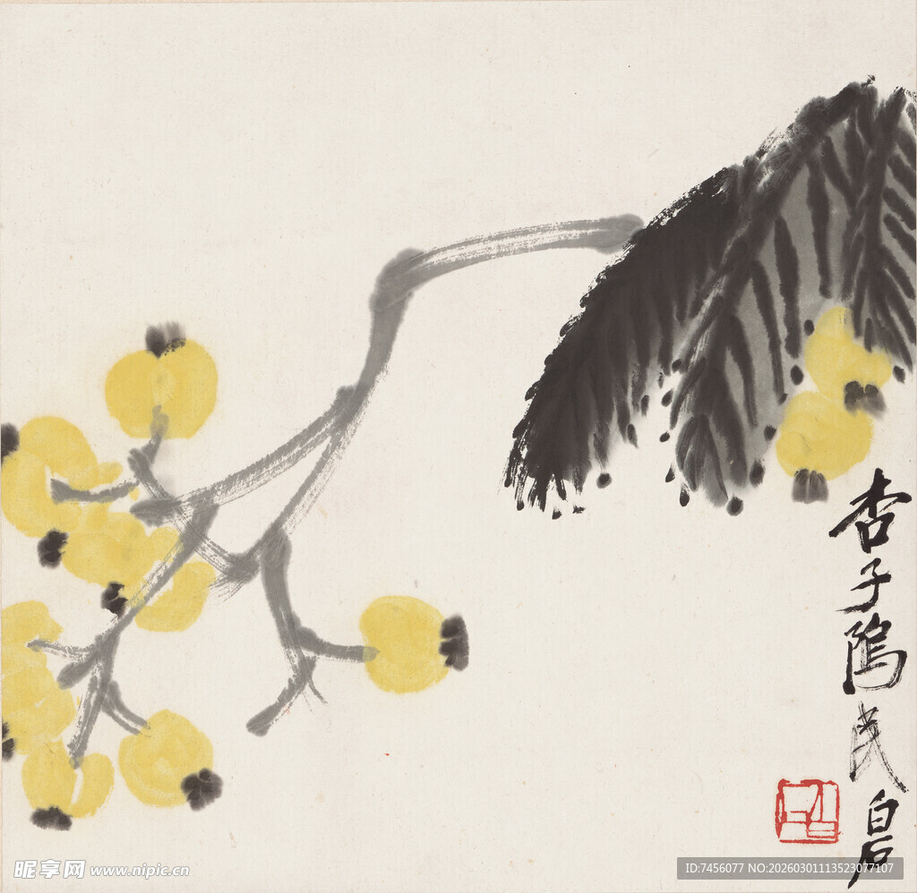 齐白石水墨枇杷图