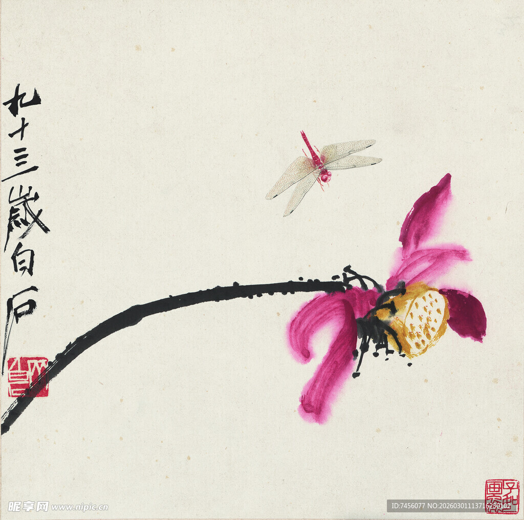 齐白石水墨荷花蜻蜓写意画