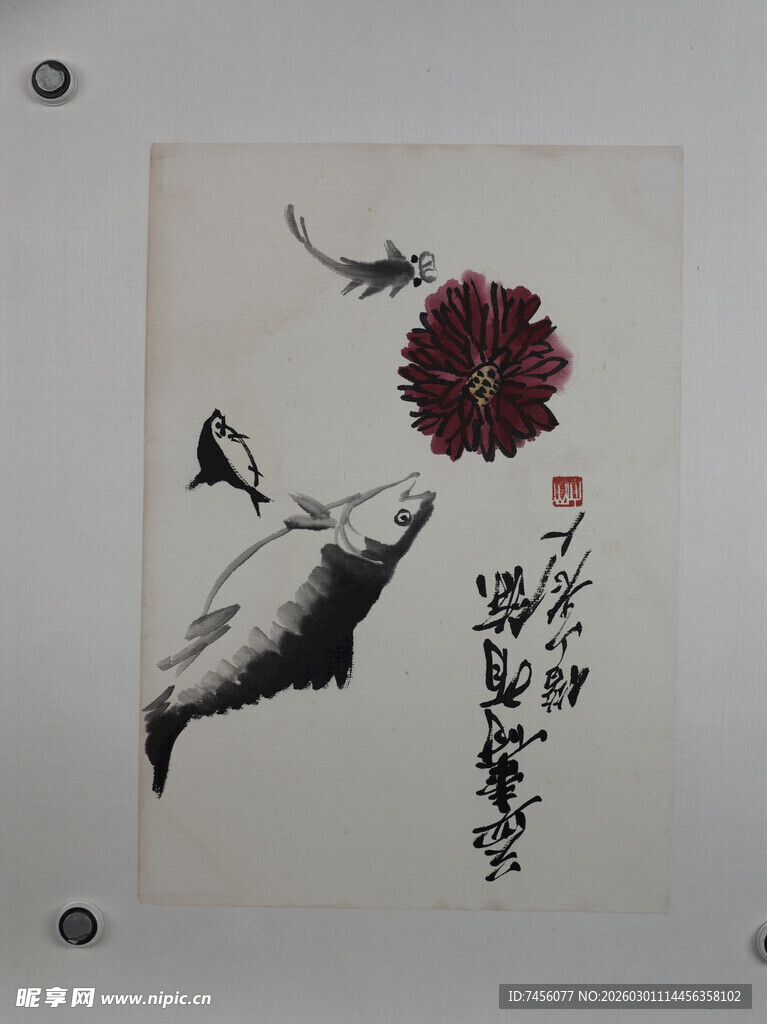 齐白石水墨鱼趣图