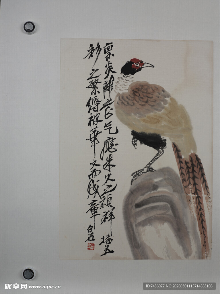 齐白石国画花鸟图