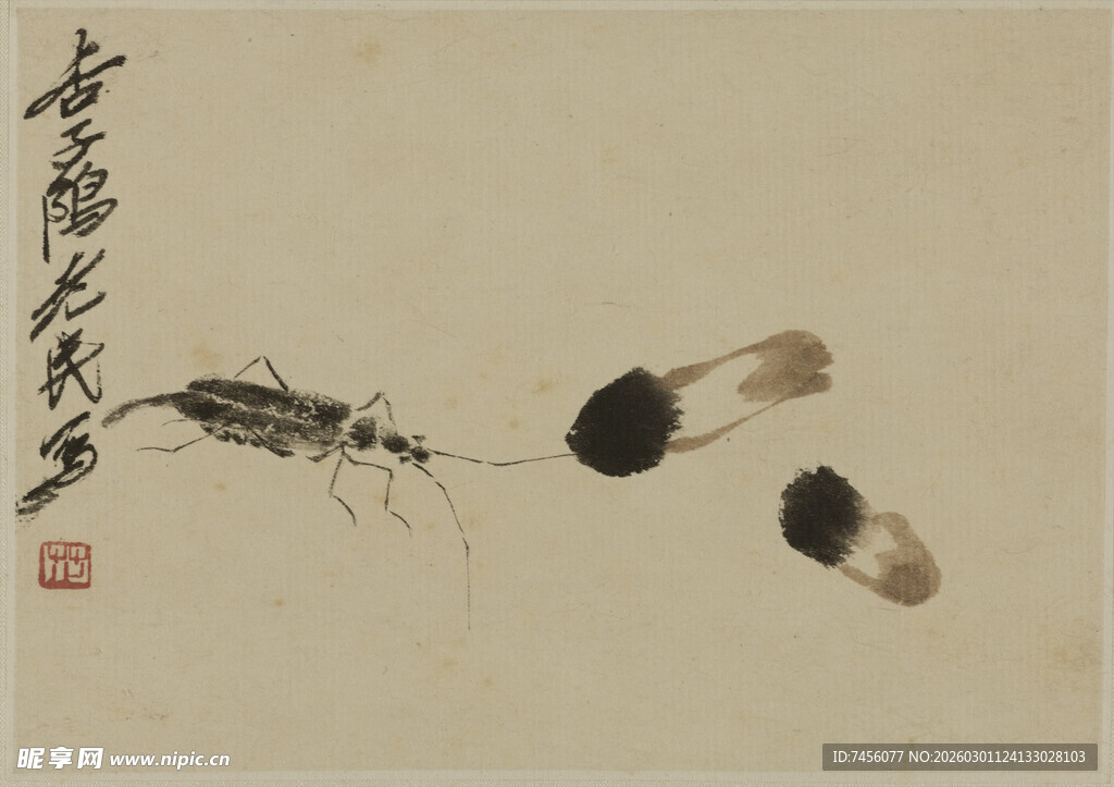 齐白石水墨虾趣图