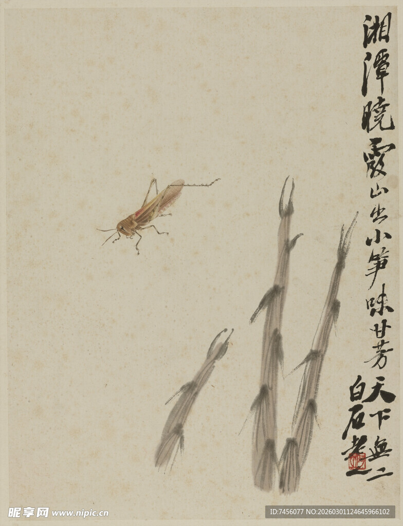 齐白石水墨蜻蜓图