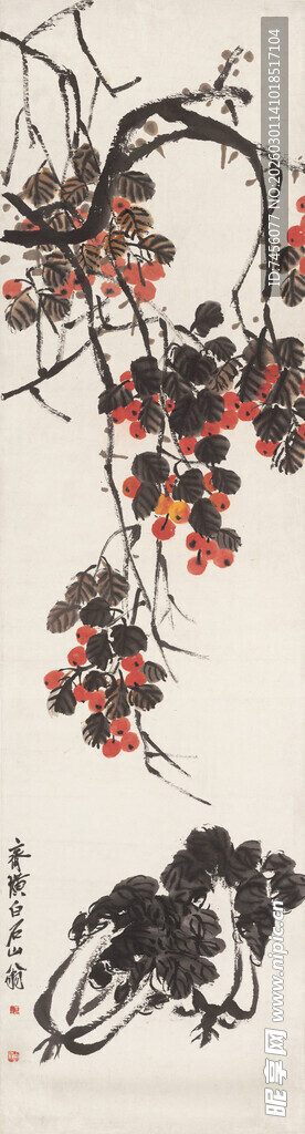 齐白石枝头挂果的植物特写