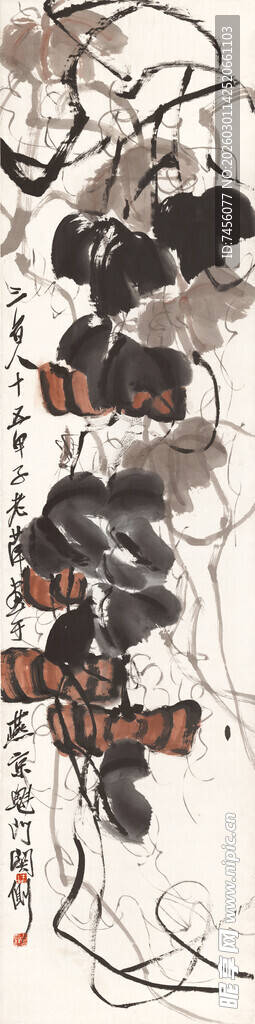 齐白石多彩昆虫标本展示