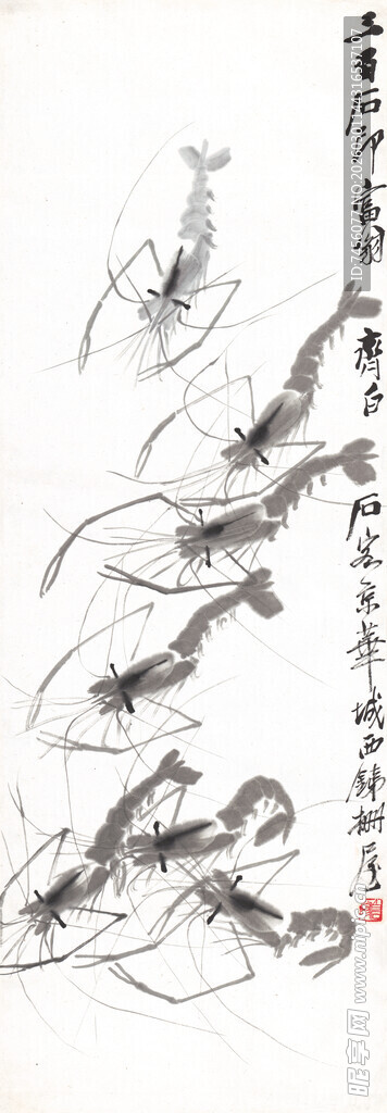齐白石水墨虾趣图