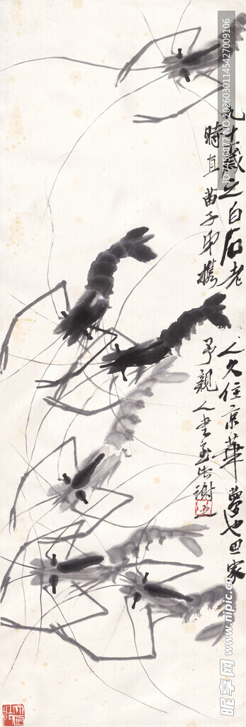 齐白石水墨虾趣图