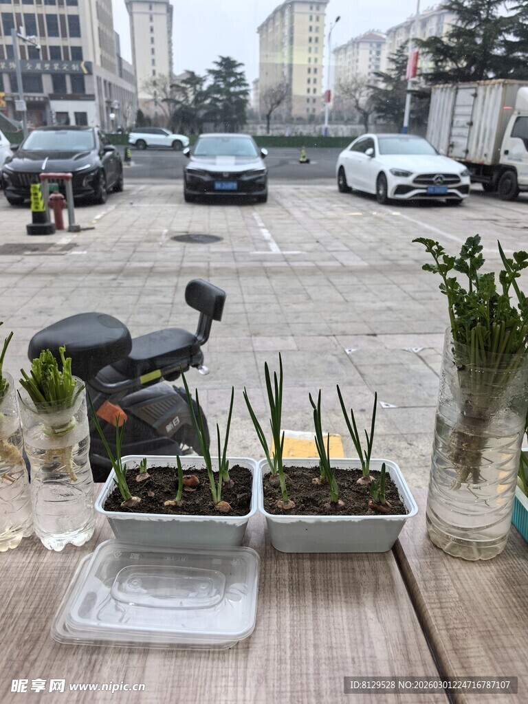 户外木桌上的绿植与摆件