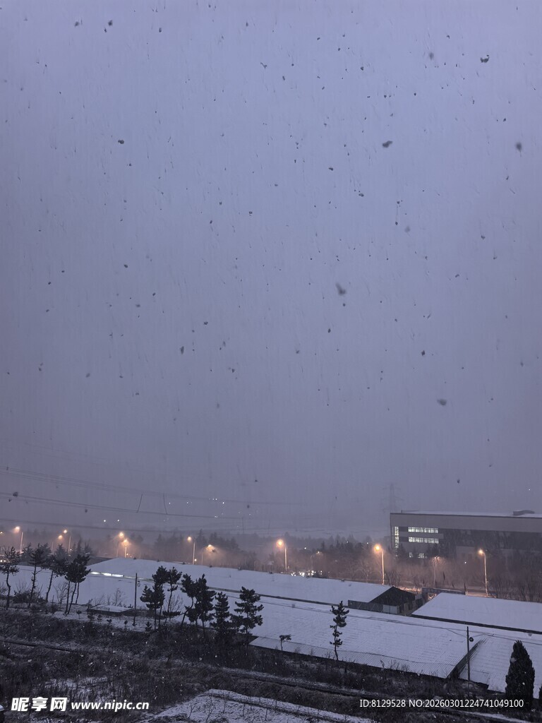 雪天城市上空飞鸟景观