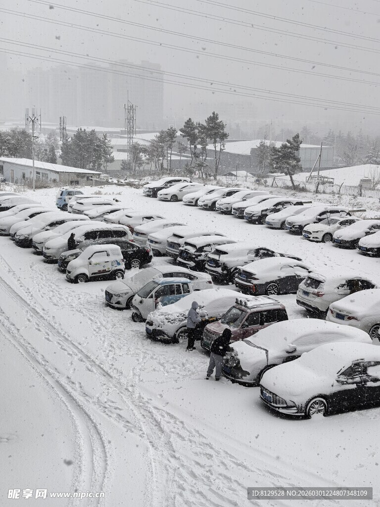 雪后停车场的银白世界