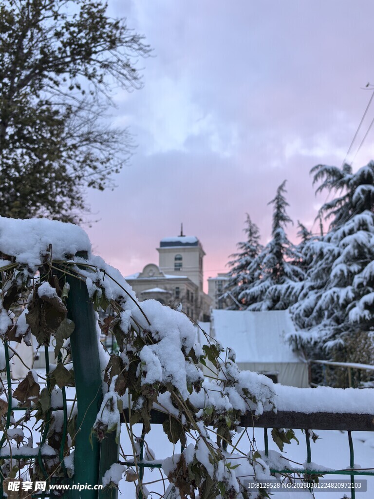 冬日雪景中的树木与楼宇