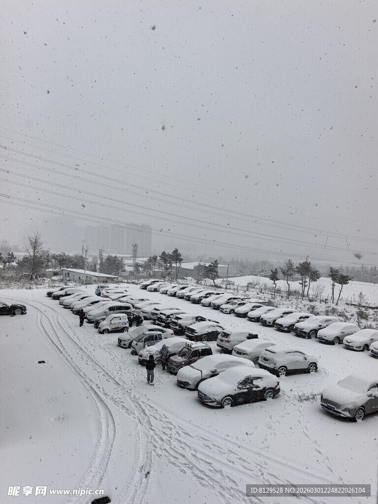 雪后停车场车辆覆满白雪
