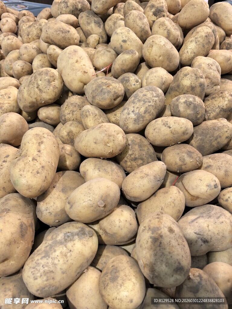 大量土豆堆成壮观景象