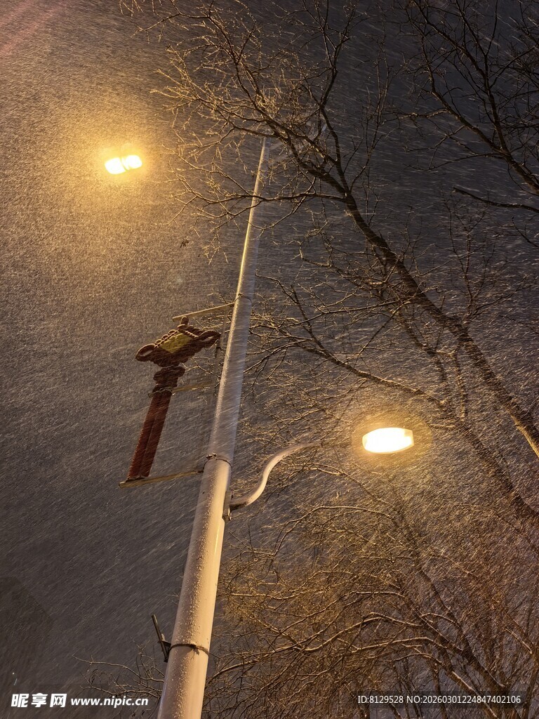 夜晚路灯下的静谧景象