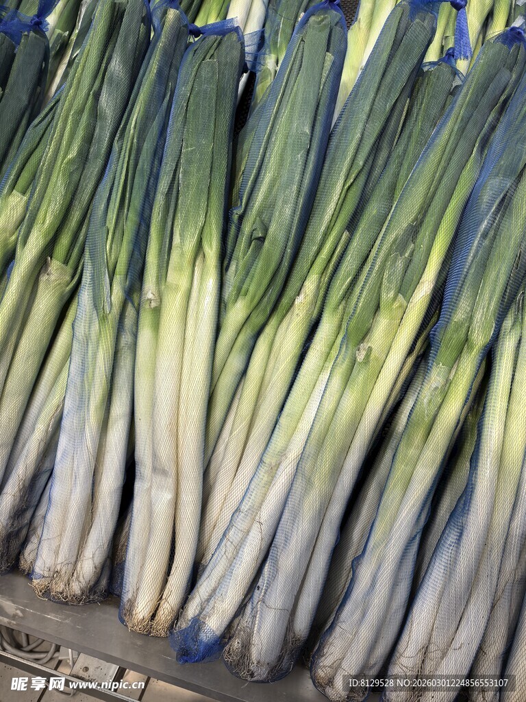 新鲜大葱整齐堆放
