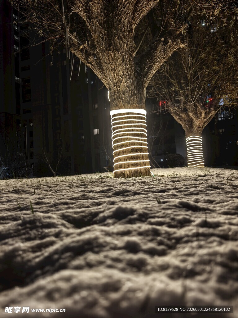 夜晚林间堆叠物的神秘景象