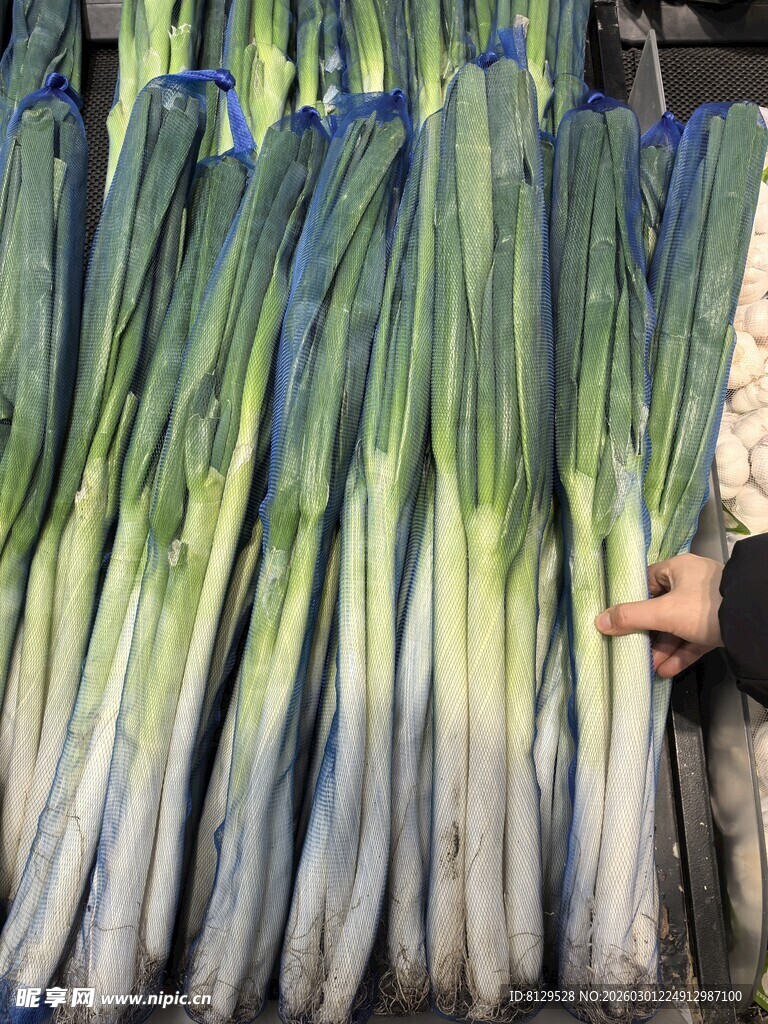 新鲜大葱堆成垛待售