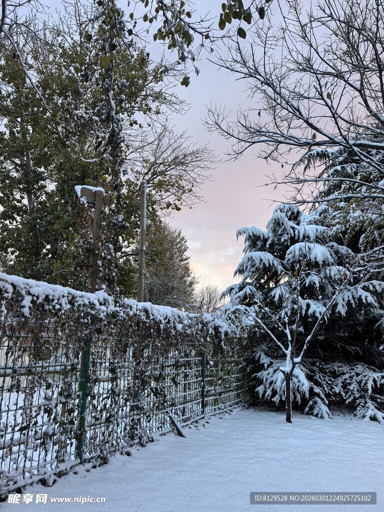 雪后围栏旁的冬日景致