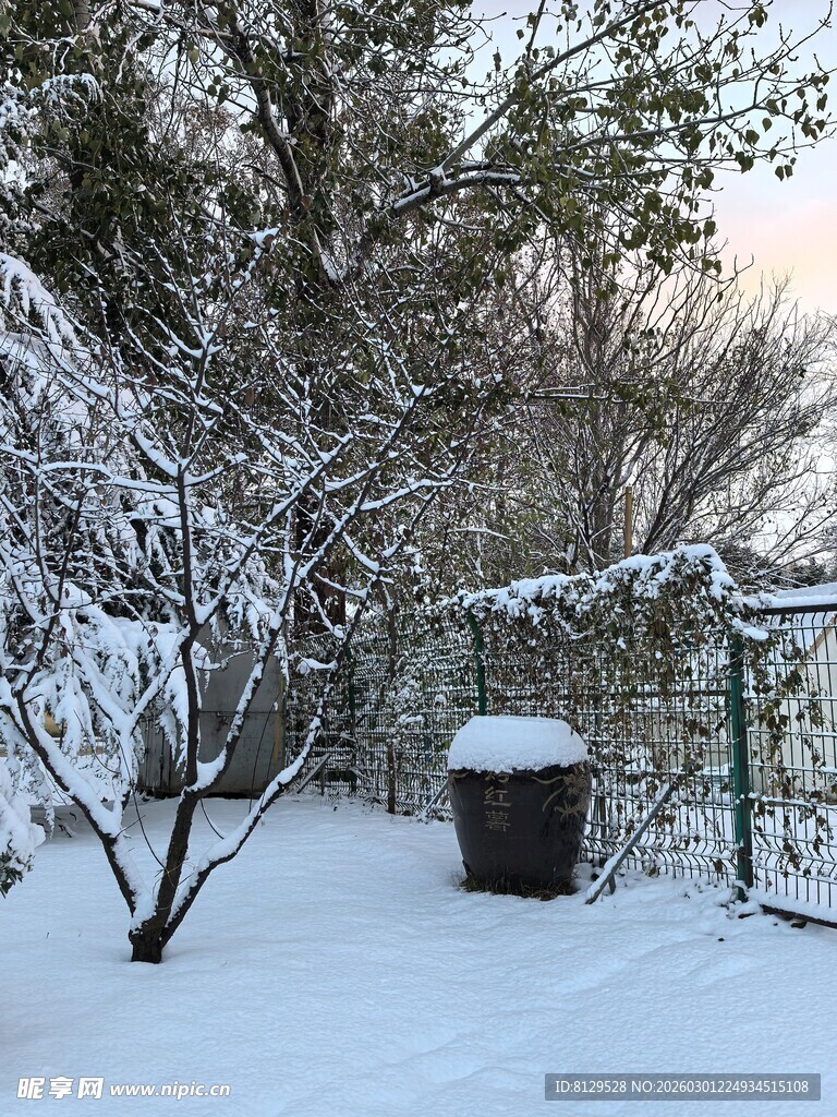 雪覆庭院一角