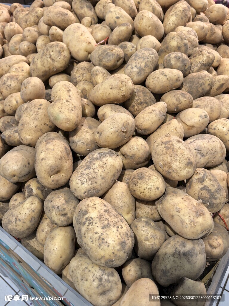 大量土豆堆放在一起