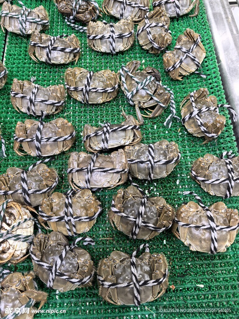 绿色托盘上的多枚螃蟹