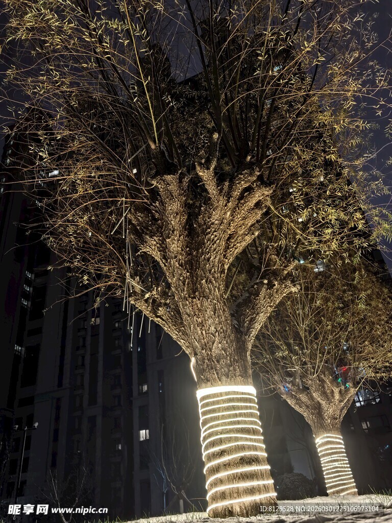 夜晚发光树干景观树